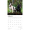French Bulldogs | 2026 12 x 24 Inch (Hanging) Monthly Square Wall Calendar | Plastic-Free